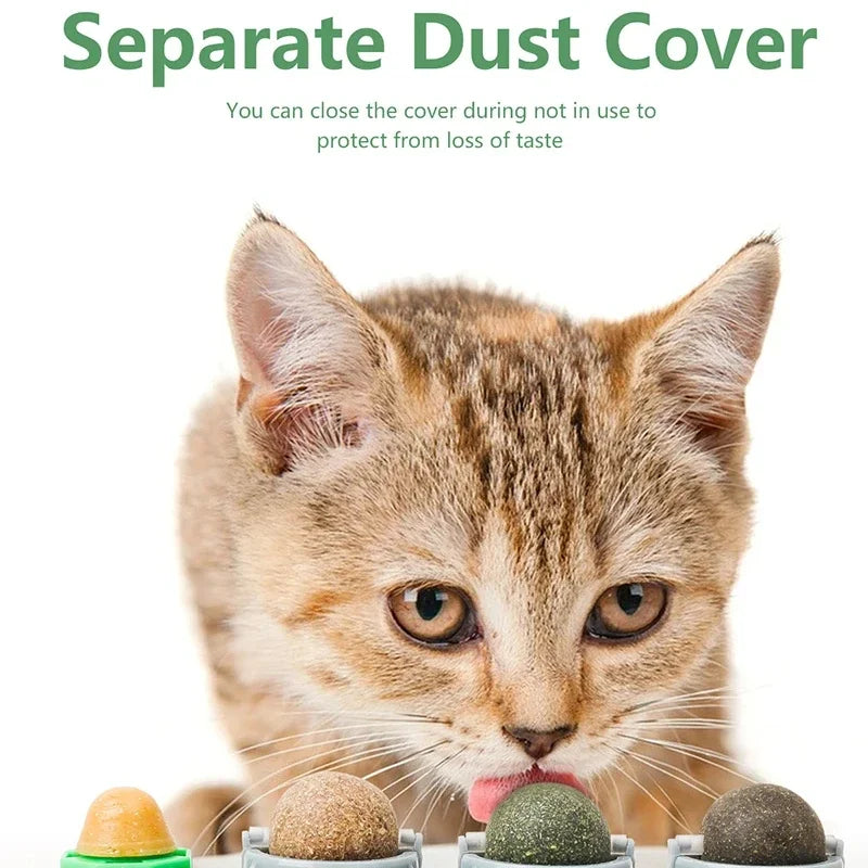 CatNip Twist